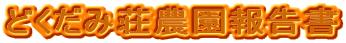 ǂݑ_񍐏